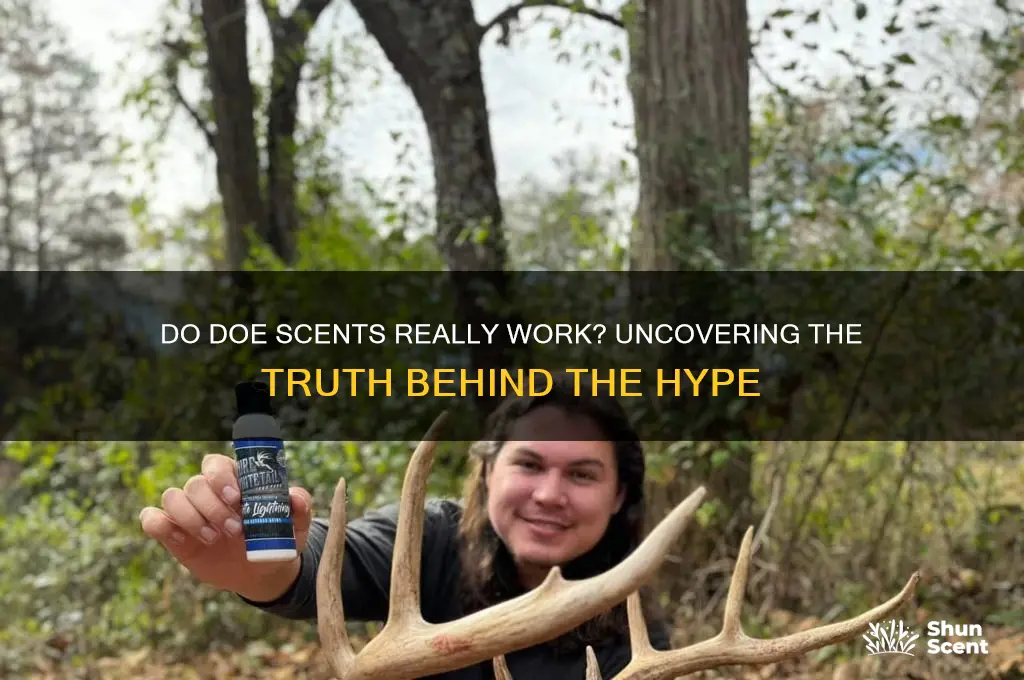 do doe scents really work