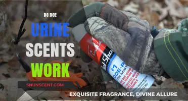 Do Doe Urine Scents Work? Uncovering the Truth for Hunters