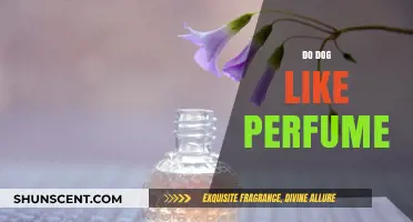 Do Dogs Enjoy Fragrances?