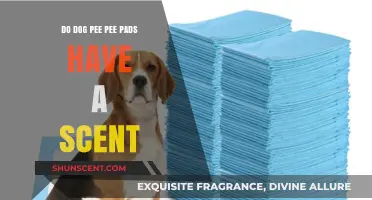 Do Dog Pee Pads Have a Scent? Uncovering the Truth