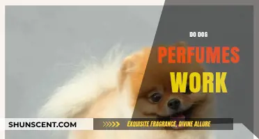 Do Dog Perfumes Actually Work?