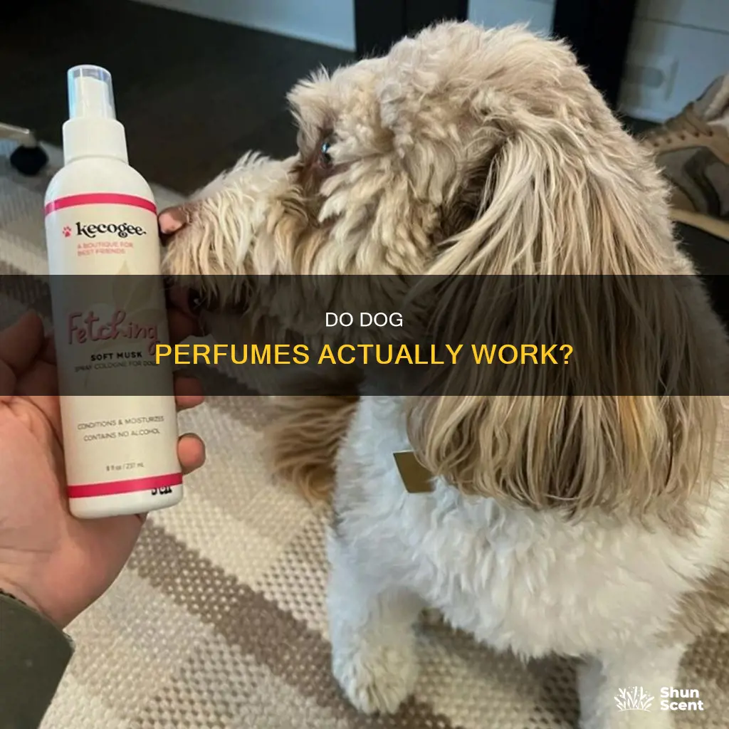 do dog perfumes work