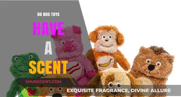 Do Dog Toys Have a Scent? Uncovering the Truth for Pet Owners