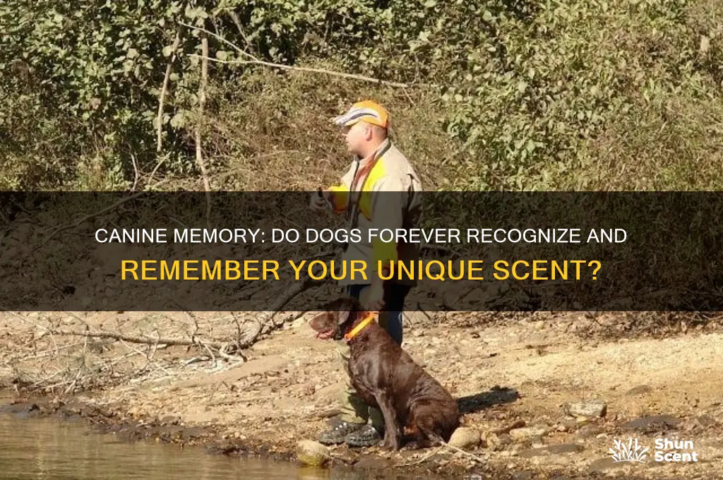 do dogs always remember your scent