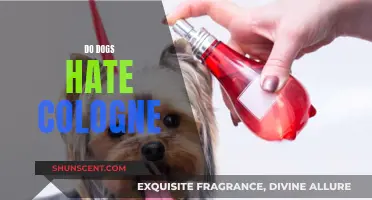 Do Dogs Hate Cologne? Understanding Canine Scents