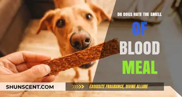 Do Dogs Despise the Odor of Blood Meal?