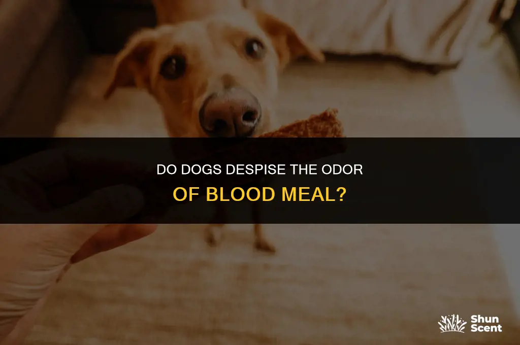 do dogs hate the smell of blood meal