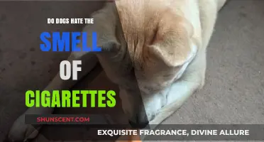 Do Dogs Despise the Smell of Cigarettes? An Insightful Look