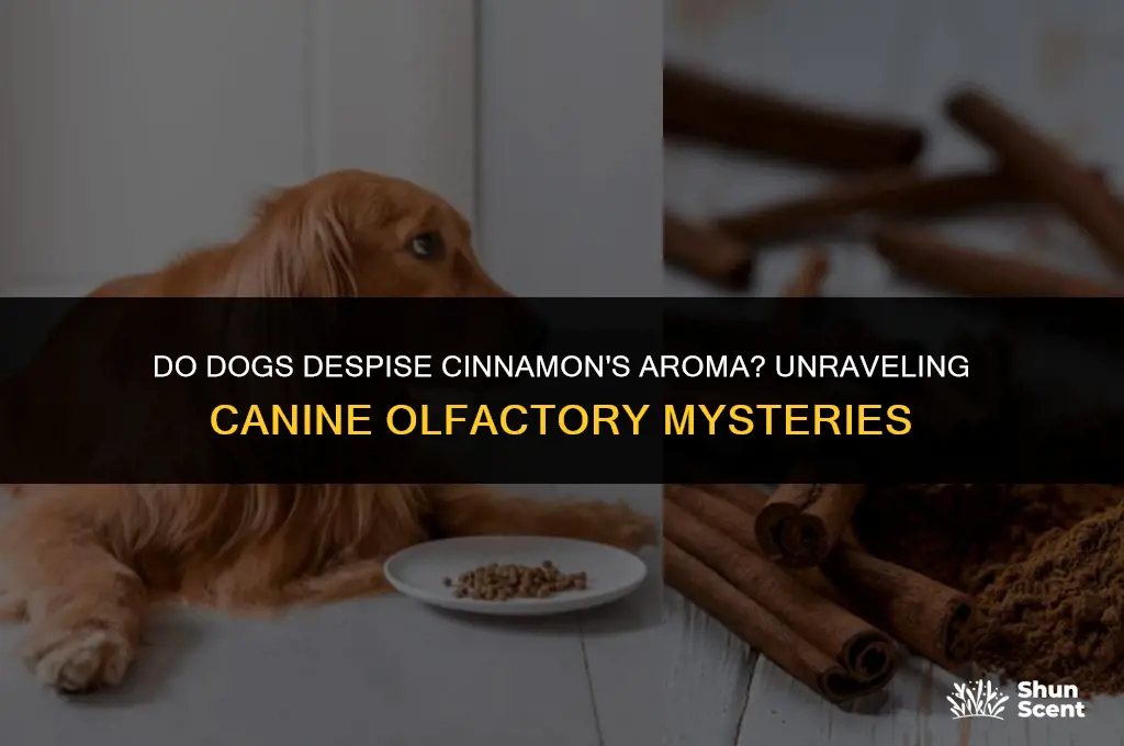 do dogs hate the smell of cinnamon
