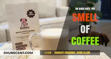 Do Dogs Despise the Aroma of Coffee? Let's Find Out!