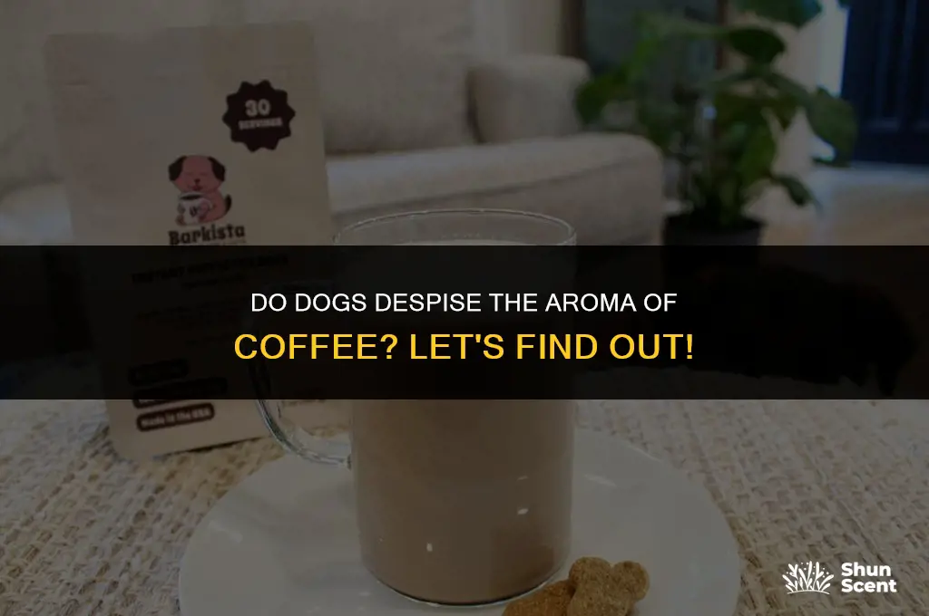 do dogs hate the smell of coffee