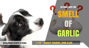 Canine Cuisine: Do Dogs Really Despise Garlic?