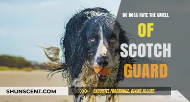 Do Dogs Despise the Scent of Scotchgard? A Canine's Perspective