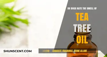 Tea Tree Oil: A Canine's Worst Nightmare or Just a Myth?