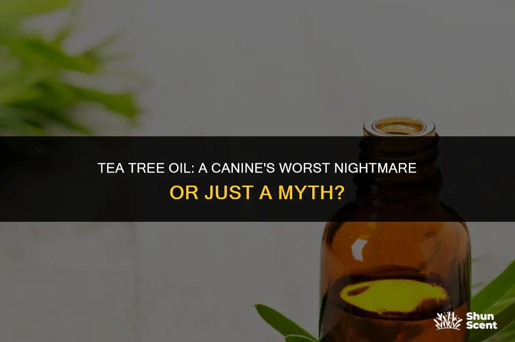 do dogs hate the smell of tea tree oil