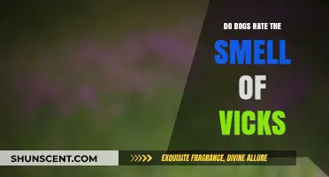Do Dogs Despise the Scent of Vicks Vaporub?