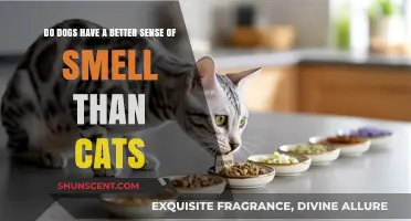 Sniffing Out the Truth: Canine vs. Feline Olfactory Powers Compared