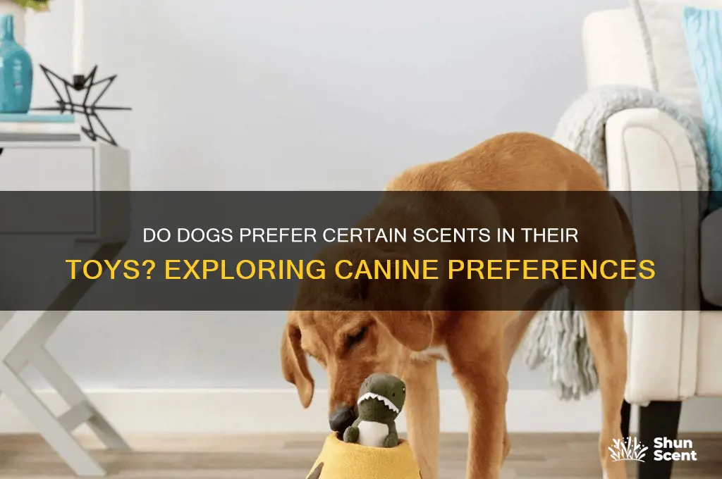 do dogs have a scente preference in toys