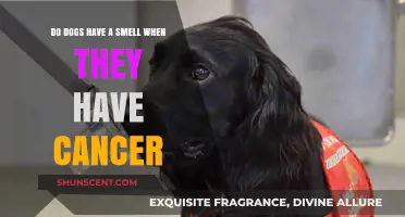 Uncovering the Truth: Can Dogs Smell Cancer in Themselves?