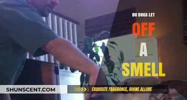 Unleashing the Truth: Do Dogs Really Let Off a Smell?