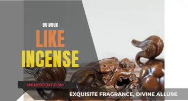 Incense and Canines: Friends or Foes?