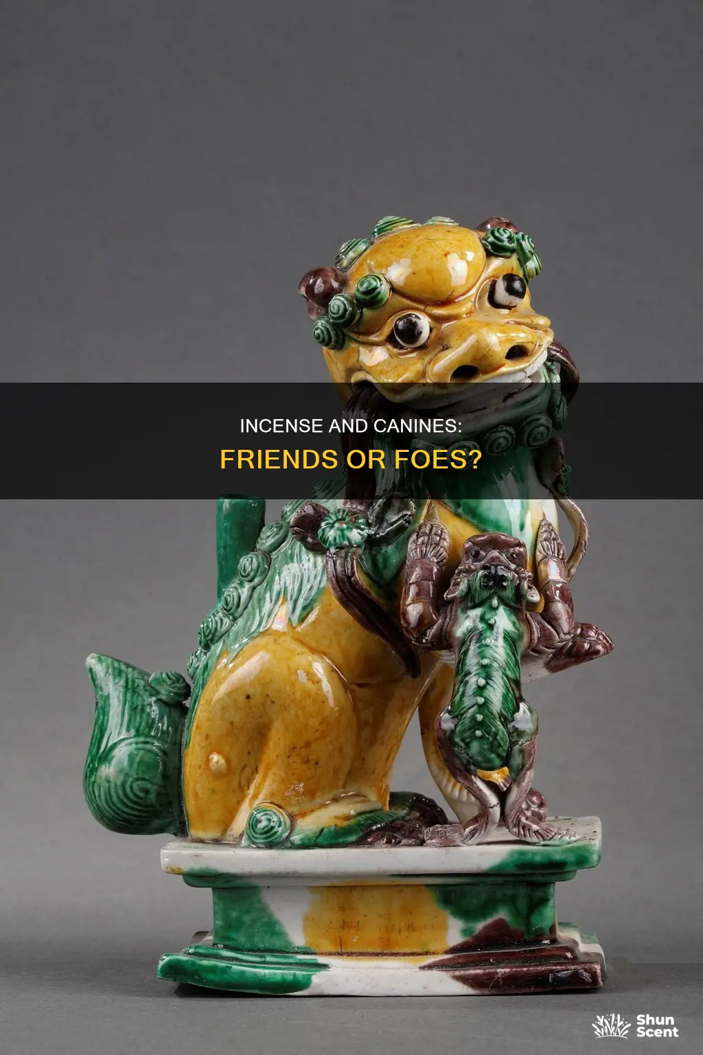 do dogs like incense