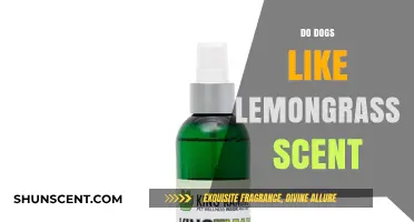 Do Dogs Enjoy Lemongrass Scent? Exploring Canine Olfactory Preferences