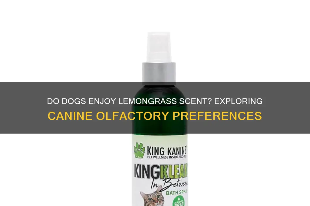do dogs like lemongrass scent