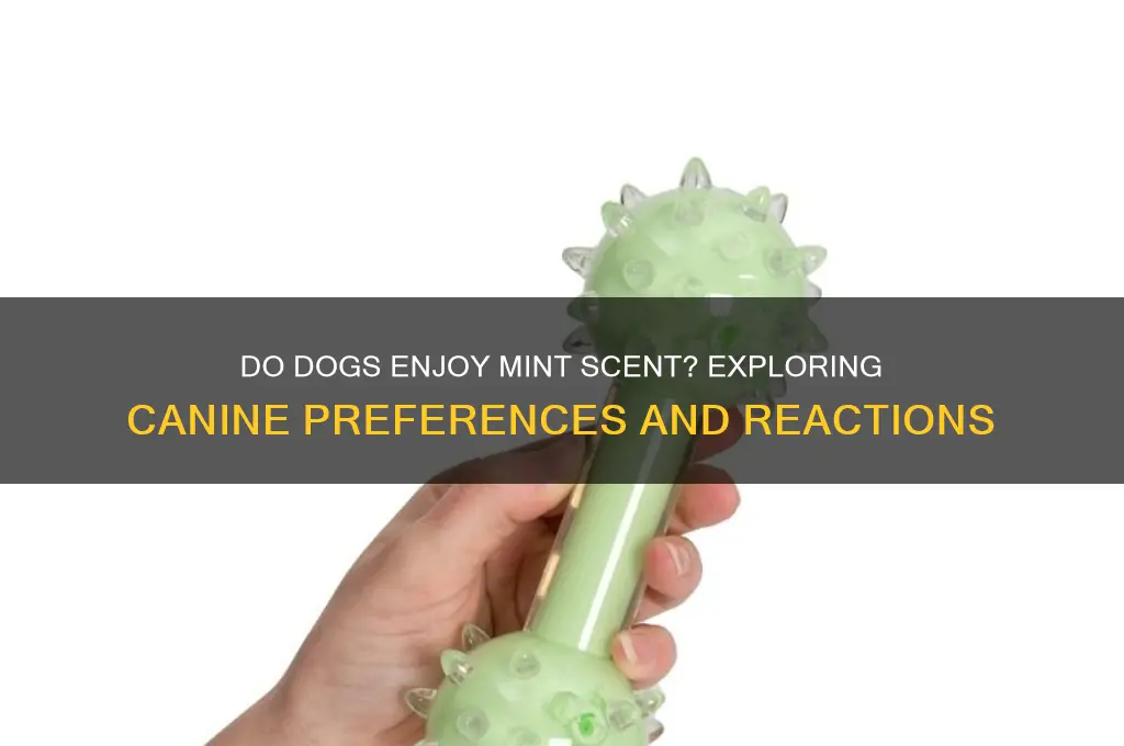 do dogs like mint scent