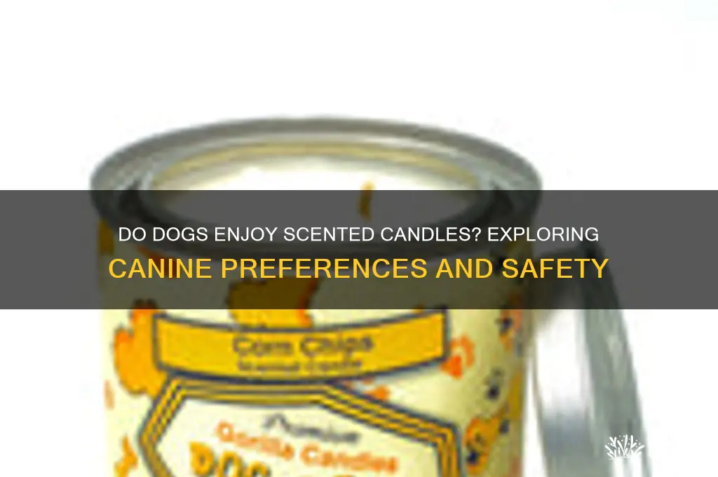 do dogs like scented candles