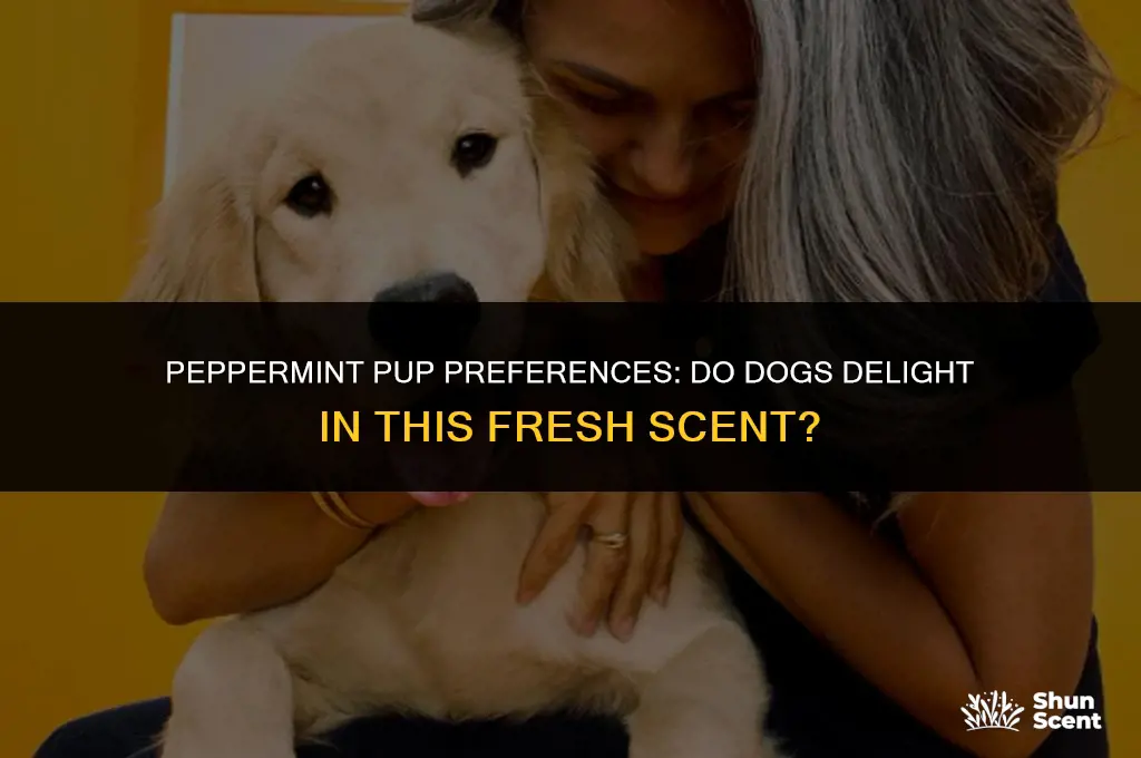 do dogs like smell of pperpermint