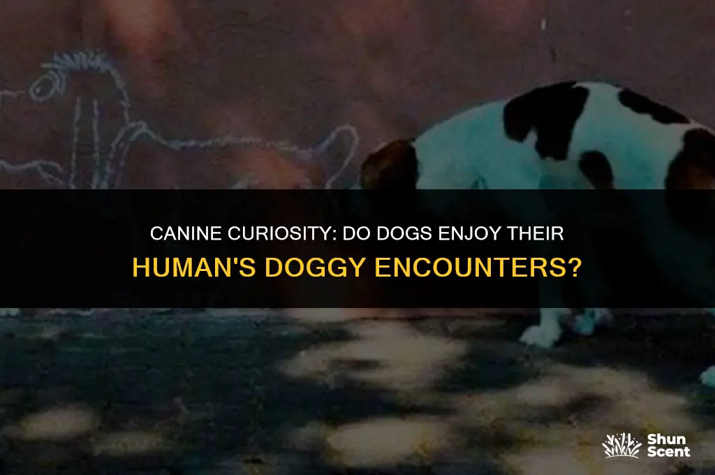 do dogs like smelling other dogs on their humans