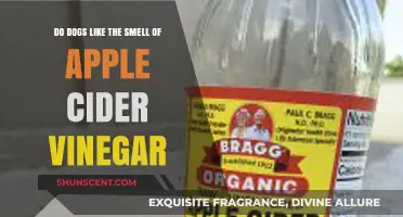 Exploring Canine Preferences: Do Dogs Enjoy Apple Cider Vinegar?