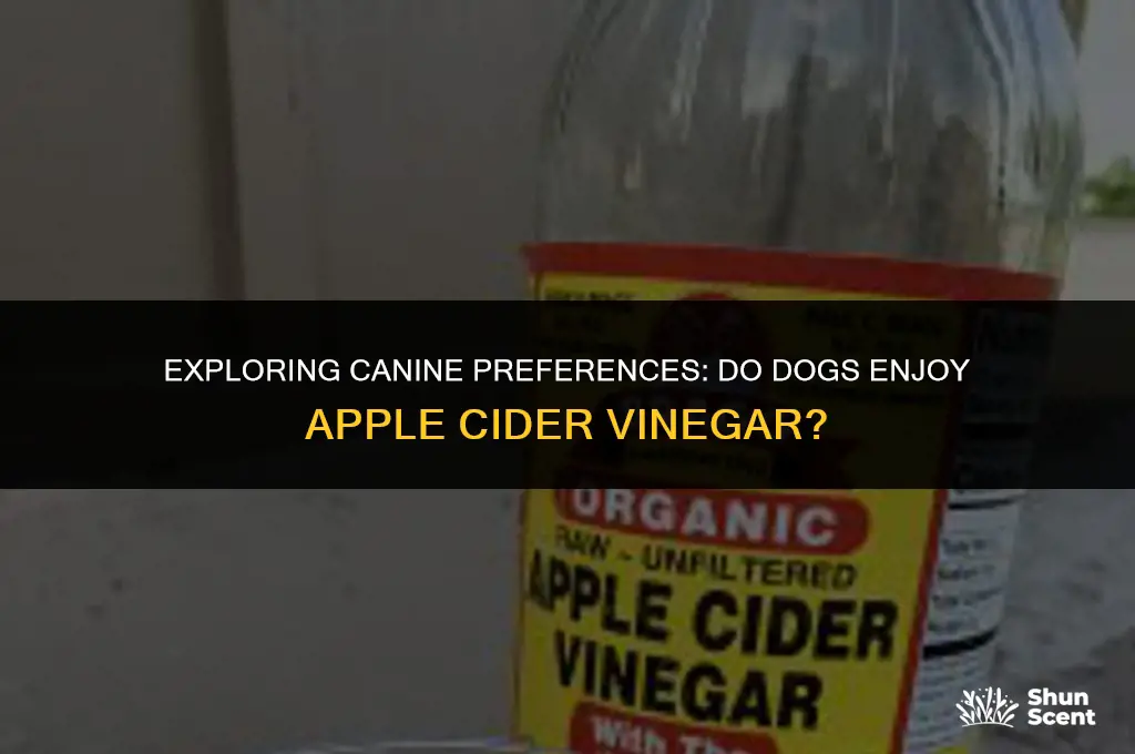 do dogs like the smell of apple cider vinegar