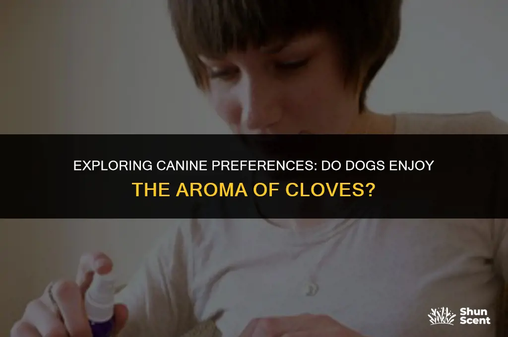 do dogs like the smell of cloves