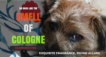 Canine Olfactory Preferences: Do Dogs Enjoy Cologne Scents?