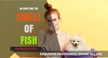 Canine Curiosity: Do Dogs Really Like the Smell of Fish?