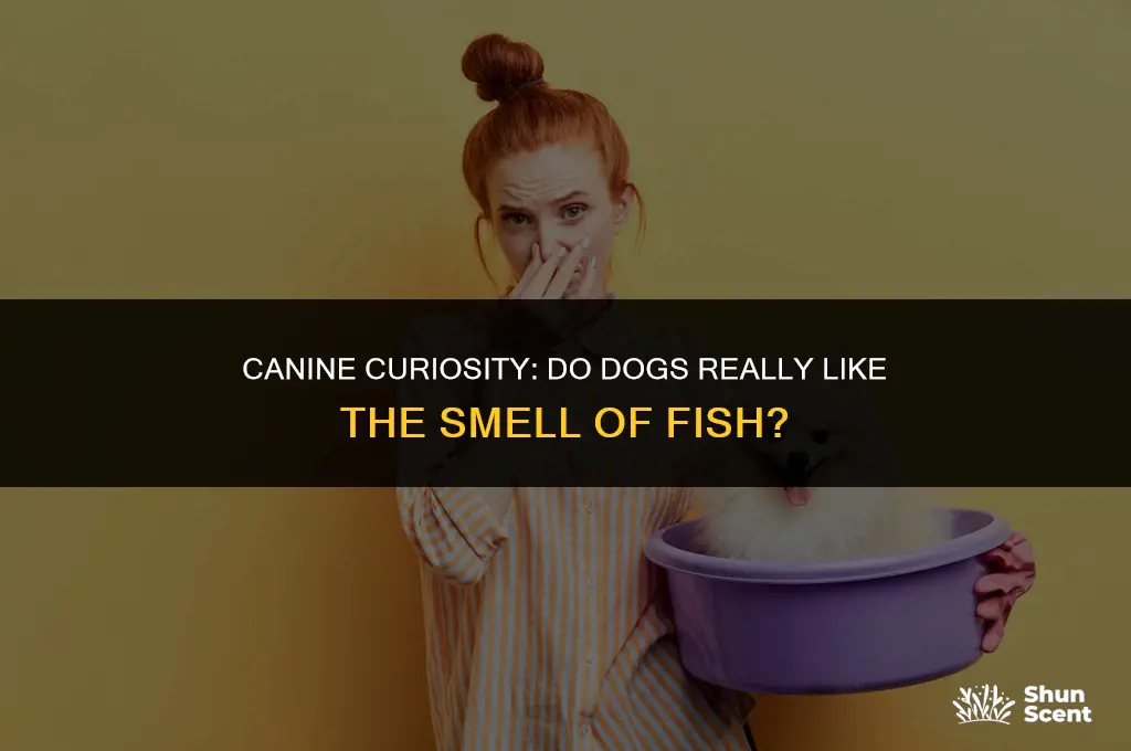 do dogs like the smell of fish