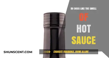 Canine Cuisine Curiosities: Do Dogs Dig the Heat of Hot Sauce?
