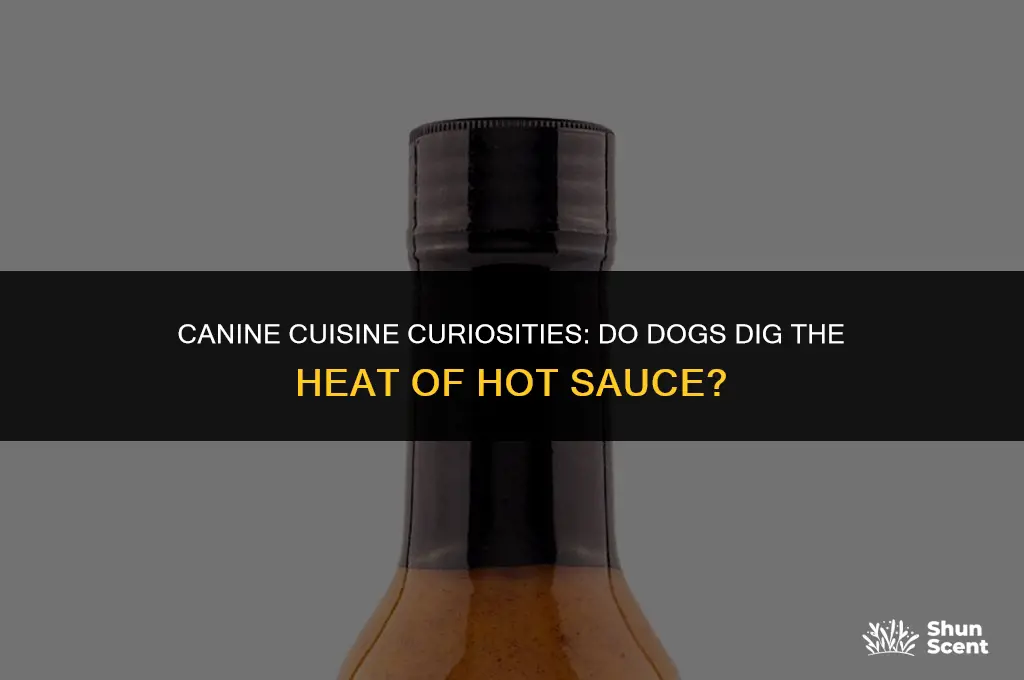 do dogs like the smell of hot sauce