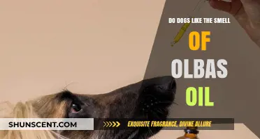Do Dogs Like the Smell of Olbas Oil? A Canine's Perspective