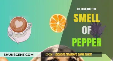 Peppery Pup Preferences: Do Dogs Delight in the Smell of Pepper?