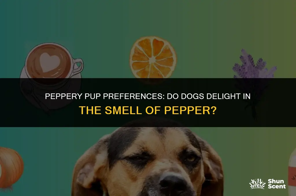 do dogs like the smell of pepper