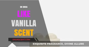 Do Dogs Enjoy Vanilla Scent? Exploring Canine Olfactory Preferences