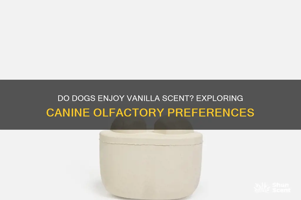 do dogs like vanilla scent