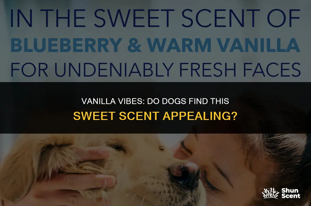 do dogs like vanilla smell