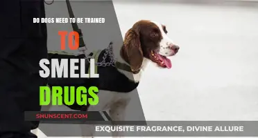 Unleashing the Debate: Do Dogs Need Training to Sniff Out Drugs?