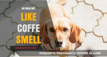 Do Dogs Dislike Coffee Smell? Unraveling Canine Preferences