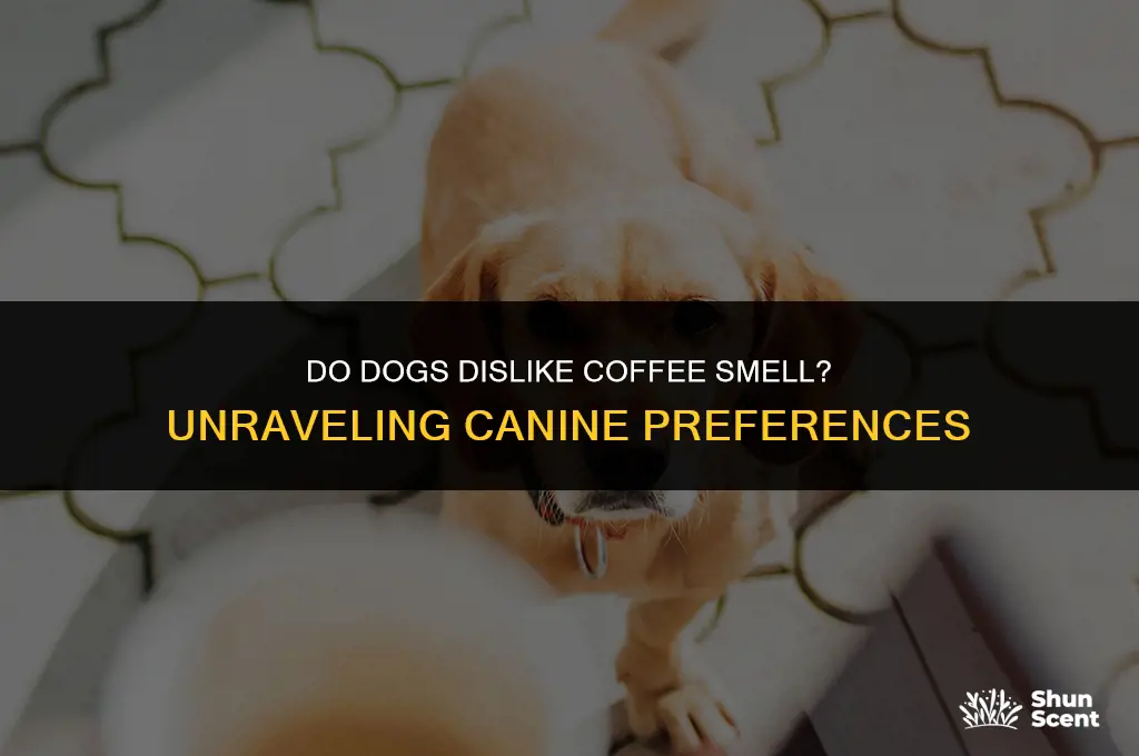 do dogs not like coffe smell