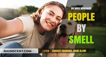 Sniffing Out Familiar Faces: Do Dogs Recognize People by Smell?